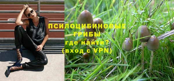 меф Заводоуковск