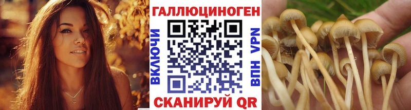 Галлюциногенные грибы GOLDEN TEACHER  Будённовск 